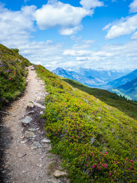 Hiking trail over a meadow pasture and mountains in the Ötztal Alps Tyrol