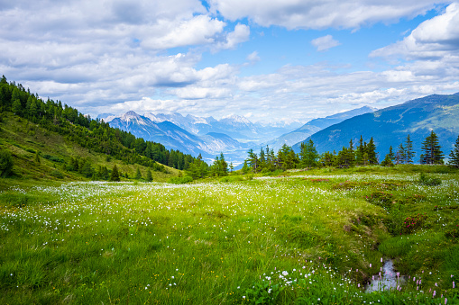 Clearing in the in the Alps. Silbertal, Montafon, Vorarlberg