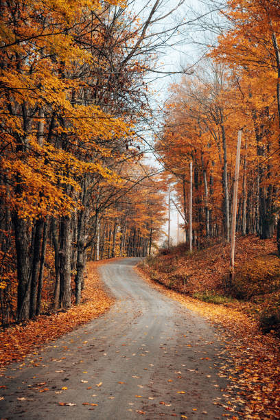 istock autumnal country road 1272222236