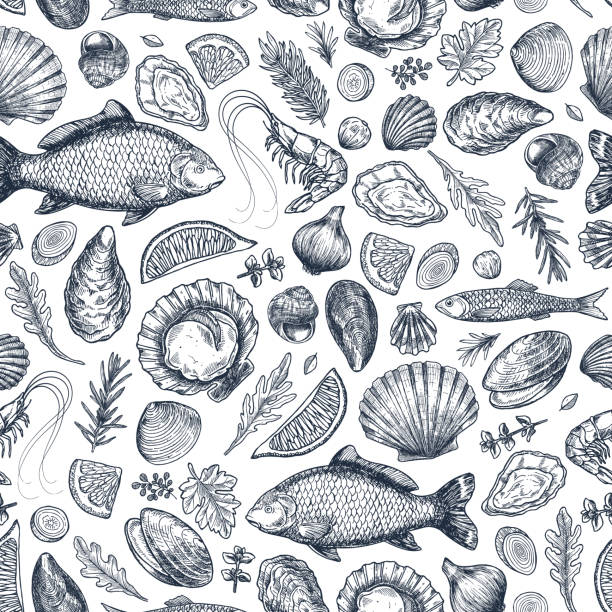 illustrations, cliparts, dessins animés et icônes de fruits de mer divers motifs sans couture. crevettes, moules, huîtres, coquillages, herbes, carpes, sardines, crevettes. - crustacé