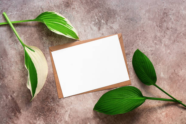 istock Green hosta leaves and blank card with craft envelope on beige textured background. Minimalistic stationery scene. Company corporate identity template. Invitation mockup. Top view. 1272226446