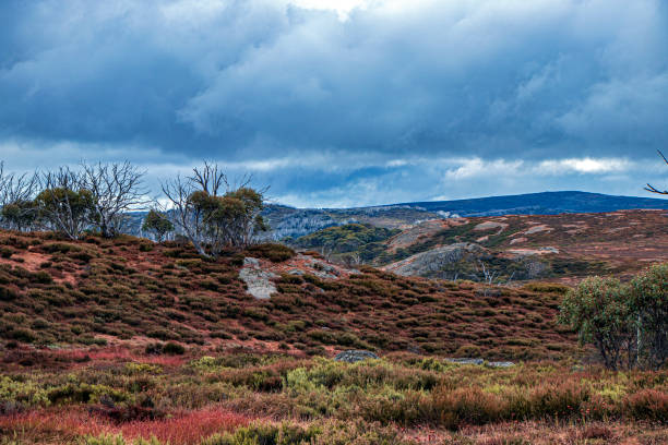High plains Falls Creek / Wallace hut An income autumn storm rolling across the plains Location is South of Rocky valley storage at Falls Creek in the Alpine National Park. Located nearby is the Wallace hut. high country stock pictures, royalty-free photos & images