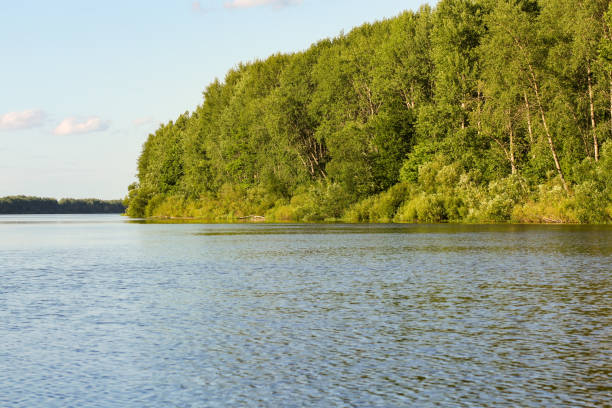 istock Bend of the forest river. 1272229750