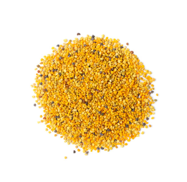 istock Bee Pollen, Perga, Flower Pollen Grains or Bee Bread 1272233168