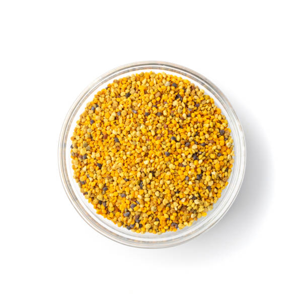 istock Bee Pollen, Perga, Flower Pollen Grains or Bee Bread 1272233172