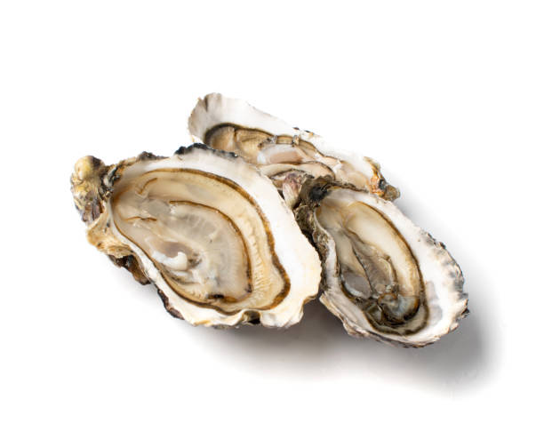 istock Fresh Opened Oyster Isolated on White Background. 1272235691