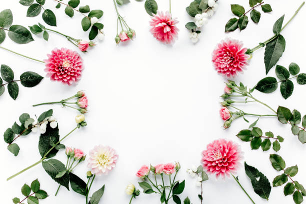 istock Round frame with pink flower buds, branches and leaves isolated on white background. lay flat, top view 1272243454