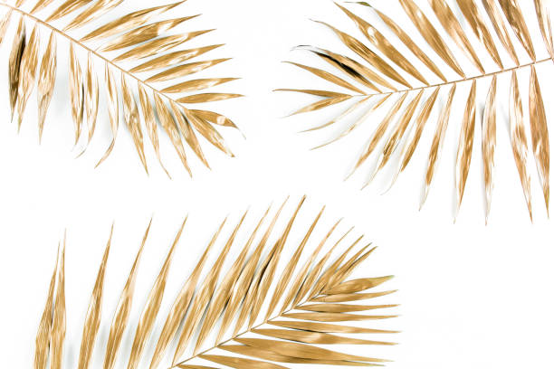 istock Gold tropical palm leaves on white background. Flat lay, top view minimal concept 1272244869