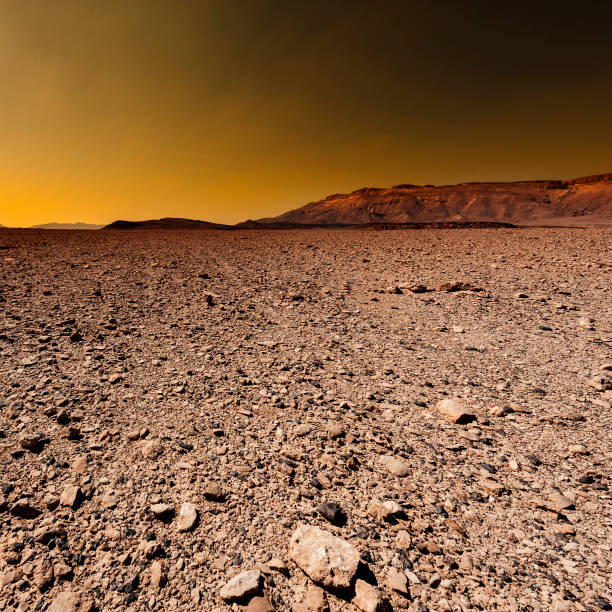 istock Fantastic sunrise in the desert. 1272245178