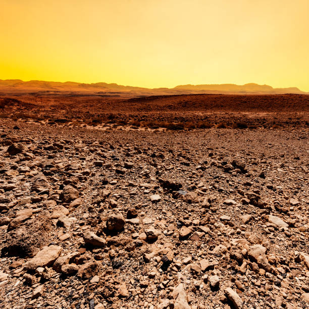istock Fantastic sunrise in the desert. 1272245179