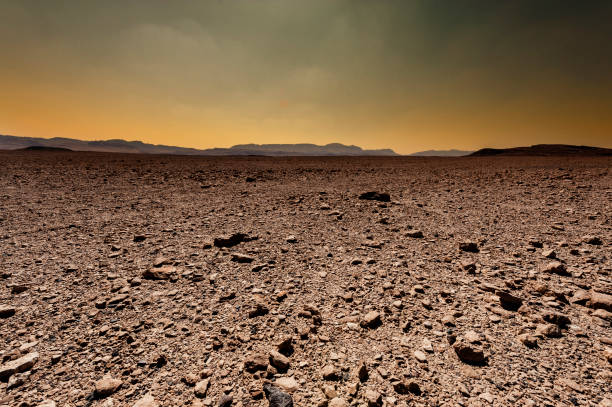 istock Fantastic sunrise in the desert. 1272245199