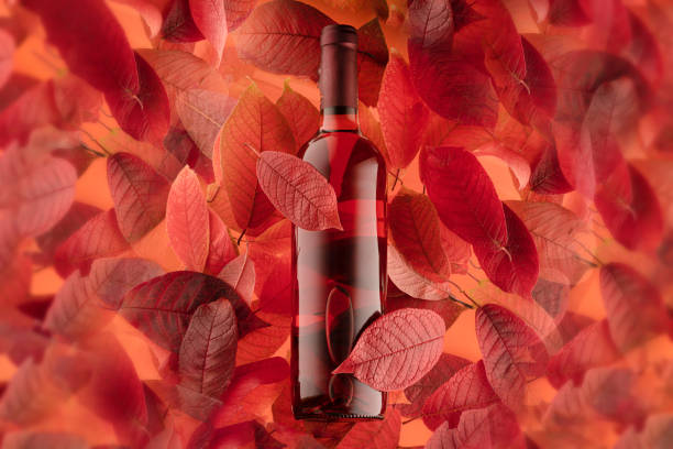 a bottle of red or rose wine on a background of autumn leaves, horizontal close-up photo stock photo