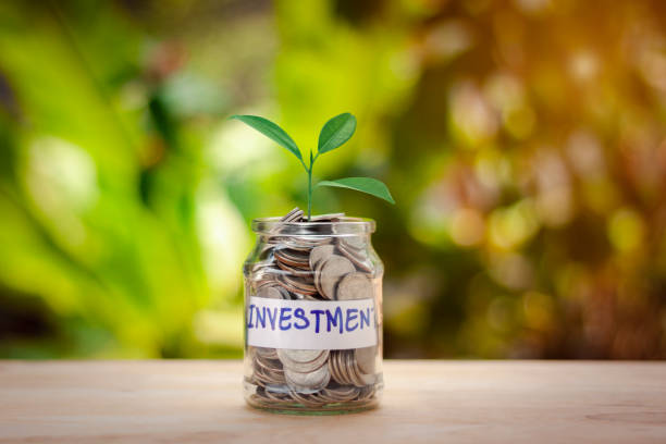 istock Stacking coins are full in a glass with tree on wooden table isolated on bokeh background. Money growth investment concept. 1272251346