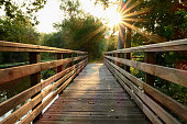 istock Wooden bridge in the middle of the forest. 1272253926