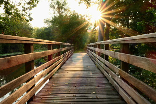 Wooden bridge in the middle of the forest. Rays of the sun through the foliage of trees. Pontoon in nature in summer or spring. footbridge photos stock pictures, royalty-free photos & images