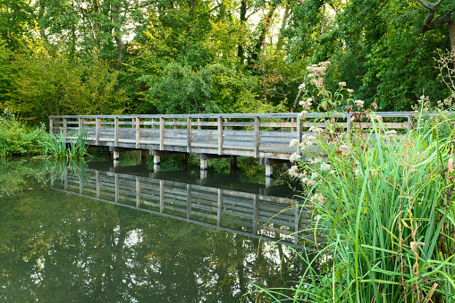 Symmetry of wooden bridge in the middle of the vegetation. Bridge in nature above the water in summer or spring.