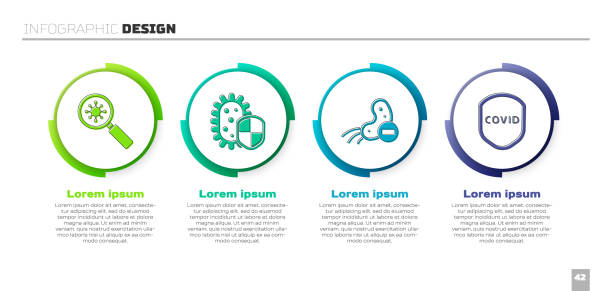 ilustrações, clipart, desenhos animados e ícones de defina o vírus sob lupa, proteja o escudo contra vírus, vírus negativo e proteção do escudo contra vírus. modelo infográfico de negócios. vetor - immune cell