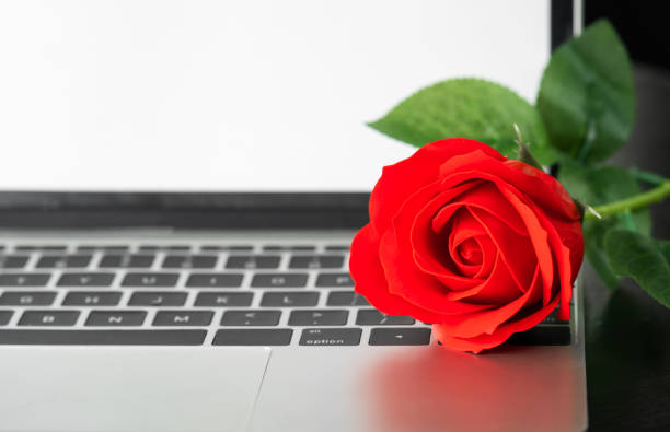 istock Red rose and the laptop on deck 1272256518