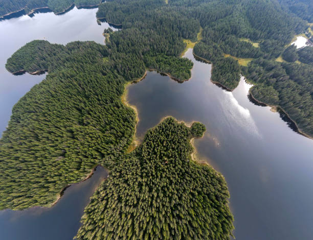 istock Panoramic view of Shiroka polyana Reservoir, Bulgaria 1272257846