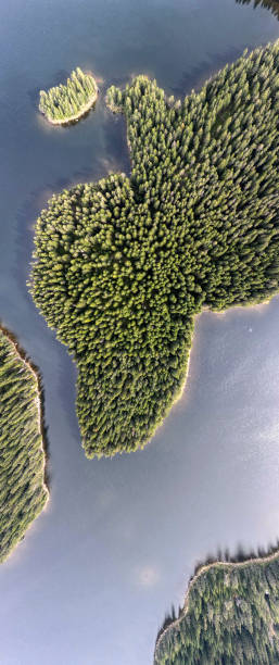istock Panoramic view of Shiroka polyana Reservoir, Bulgaria 1272257936