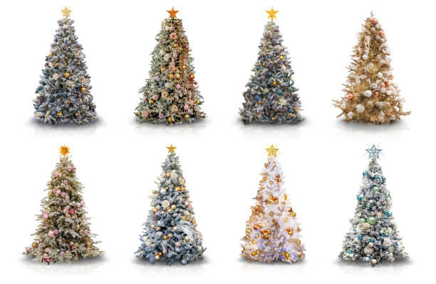 verschiedene dekorierte weihnachtsbäume auf weiß - tannenbaum stock-fotos und bilder