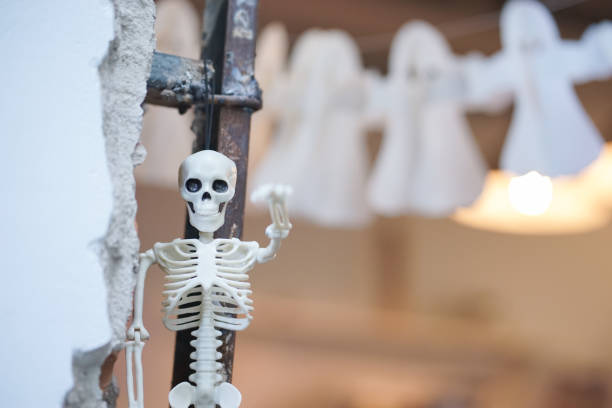 istock Plastic skeleton. A plastic skeleton toy hanging for Halloween party decoration. Copy space for your text 1272258506