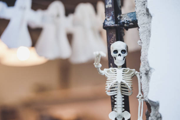 istock Plastic skeleton. A plastic skeleton toy hanging for Halloween party decoration. Copy space for your text 1272258517