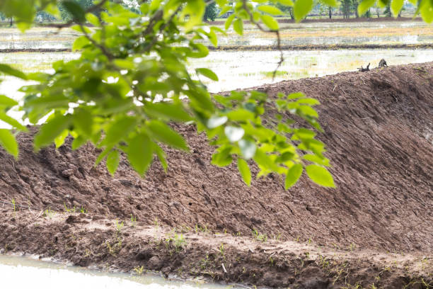 istock Land slides with blurred leaves. 1272259050