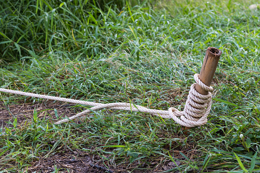 Close-up image of a rope attached to a bamboo stump, which settles on a lawn.