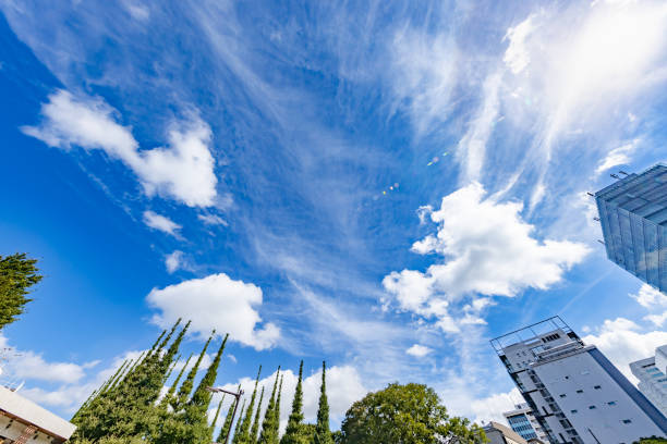 Tokyo buildings with beautiful fresh greenery