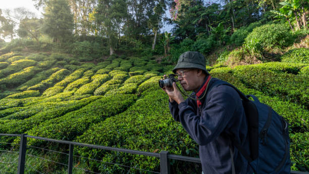 istock Man hiker use camera take photo in tea plantation 1272260686