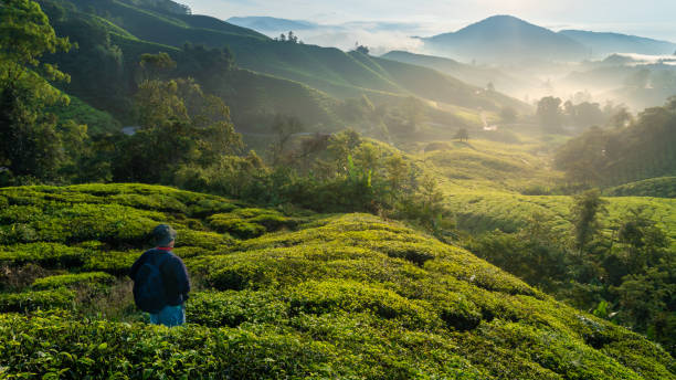 istock Beauty in nature 1272261065