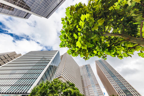 istock Tokyo buildings with beautiful fresh greenery 1272261082