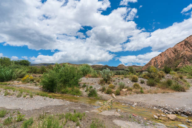istock river crossing mountainous area with vegetation and trees 1272262139
