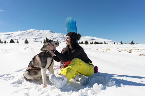 Siberian husky and his owner sitting on the snow and playing