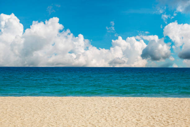 istock Summer beach and sea 1272264482