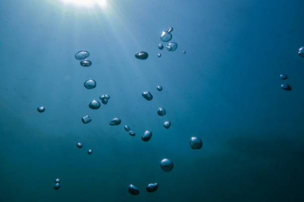 istock little air bubbles in blue seawater while diving 1272265323