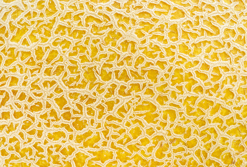 Macro shot of yellow melon skin texture. Design element for vegetarian, raw food diet and healthy eating concepts. Full frame. Top view.
