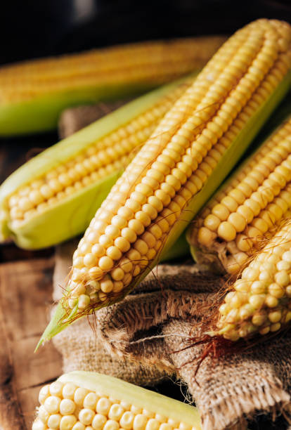 istock Fresh corn on the cob on a brown natural wood background close up 1272265761