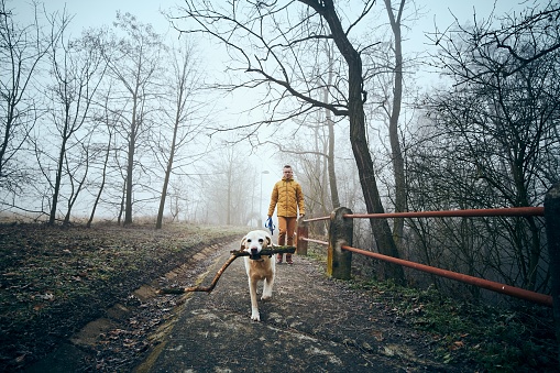 Man with his dog walking on sidewalk in fog