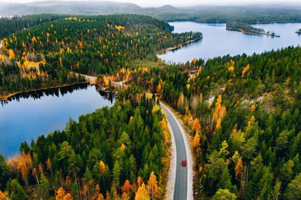 Aerial view of rural road with red car in yellow and orange autumn forest with blue lake Aerial view of rural road with red car in yellow and orange autumn forest with blue lake in Finland. finnish lapland autumn stock pictures, royalty-free photos & images