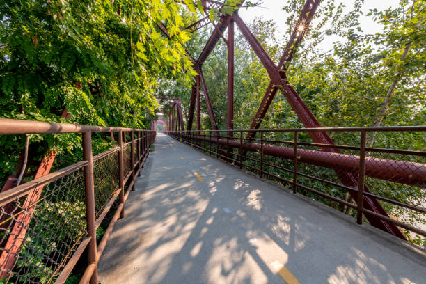 istock Forest overgrown bridge leading over the Boise River 1272268455