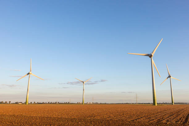 istock Pinwheels on a field in the morning sun 1272269914