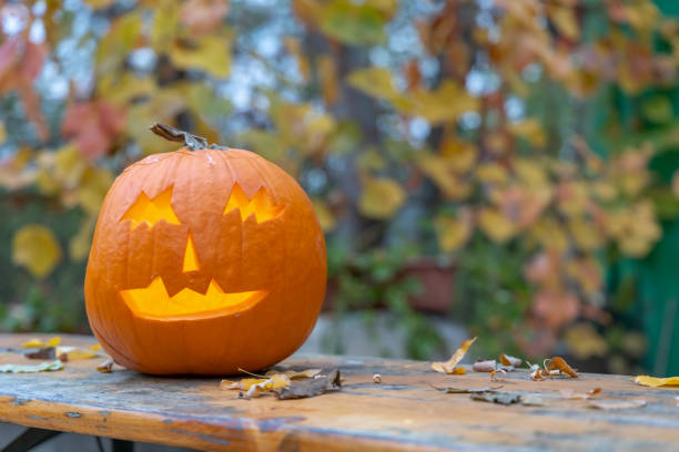 istock halloween pumpkin, autumn still life 1272271944