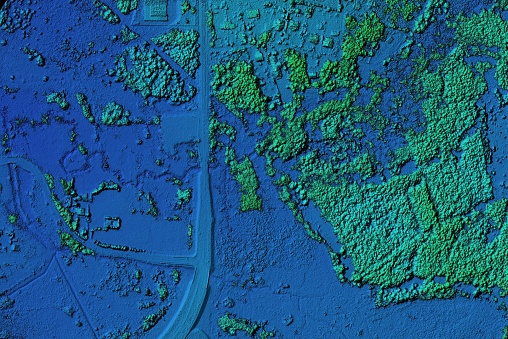 Product made after processing pictures taken from a drone. It shows forest area with a lot of trees and bushes. 3D rendering process allows to see height of a terrain while it looks like NIR photo.