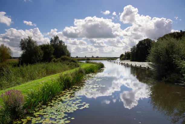 istock View over the Single Wiericke 1272278591