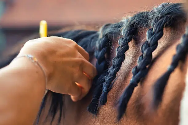 Photo of braiding a horse's mane