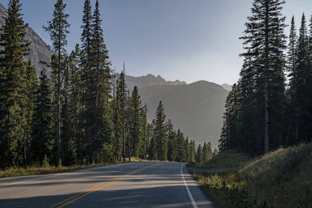 istock Yellowstone highway on hazy morning 1272280645