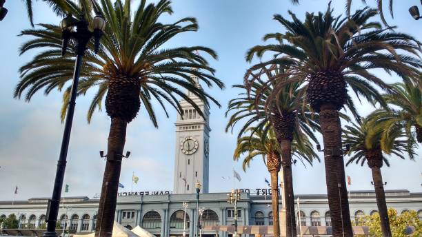istock The clock tower among the palm trees 1272281131