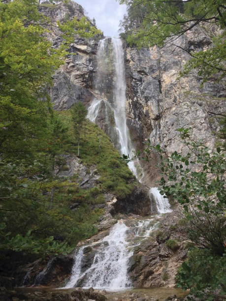 istock a wonderfull waterfall in the forest 1272282057